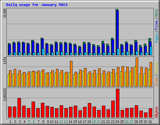 Daily usage for January 2013