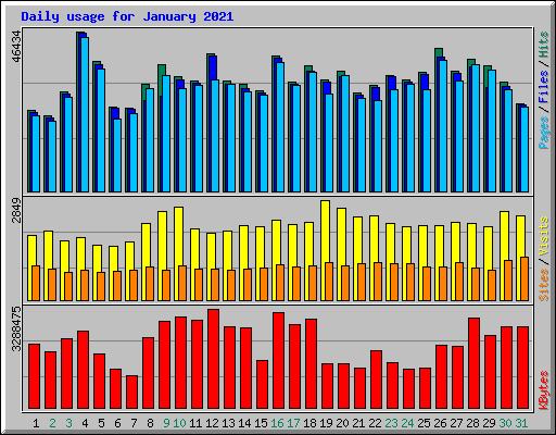 Daily usage for January 2021