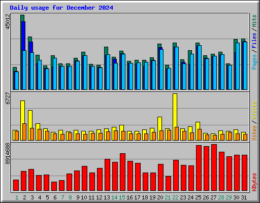 Daily usage for December 2024