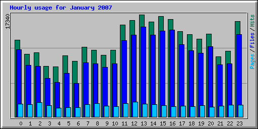 Hourly usage for January 2007