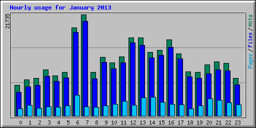 Hourly usage for January 2013