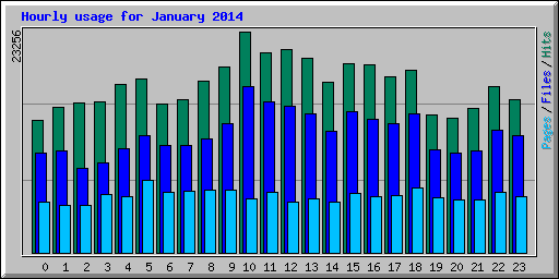 Hourly usage for January 2014