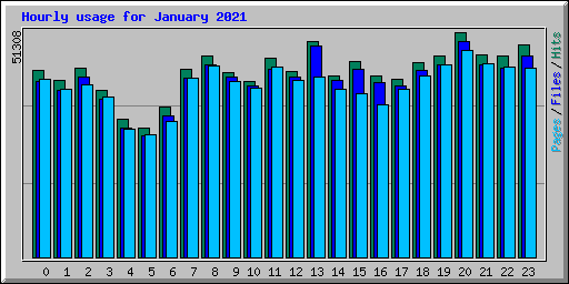 Hourly usage for January 2021