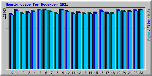 Hourly usage for November 2021