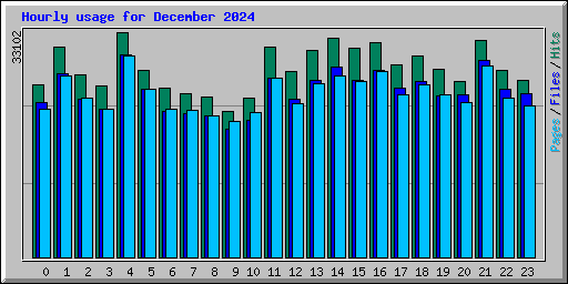 Hourly usage for December 2024