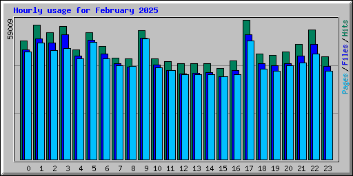 Hourly usage for February 2025