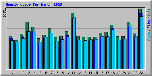 Hourly usage for March 2025