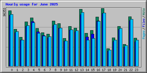 Hourly usage for June 2025