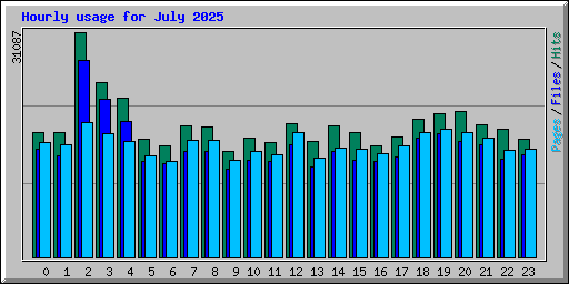 Hourly usage for July 2025