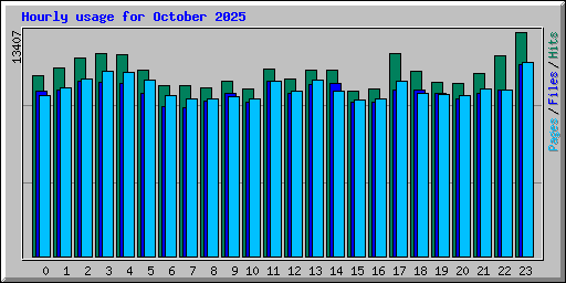Hourly usage for October 2025