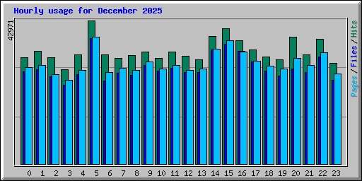 Hourly usage for December 2025