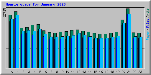 Hourly usage for January 2026